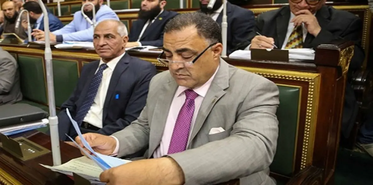 إحالة برلماني مصري للتحقيق بسبب "ختان الإناث والفياغرا"