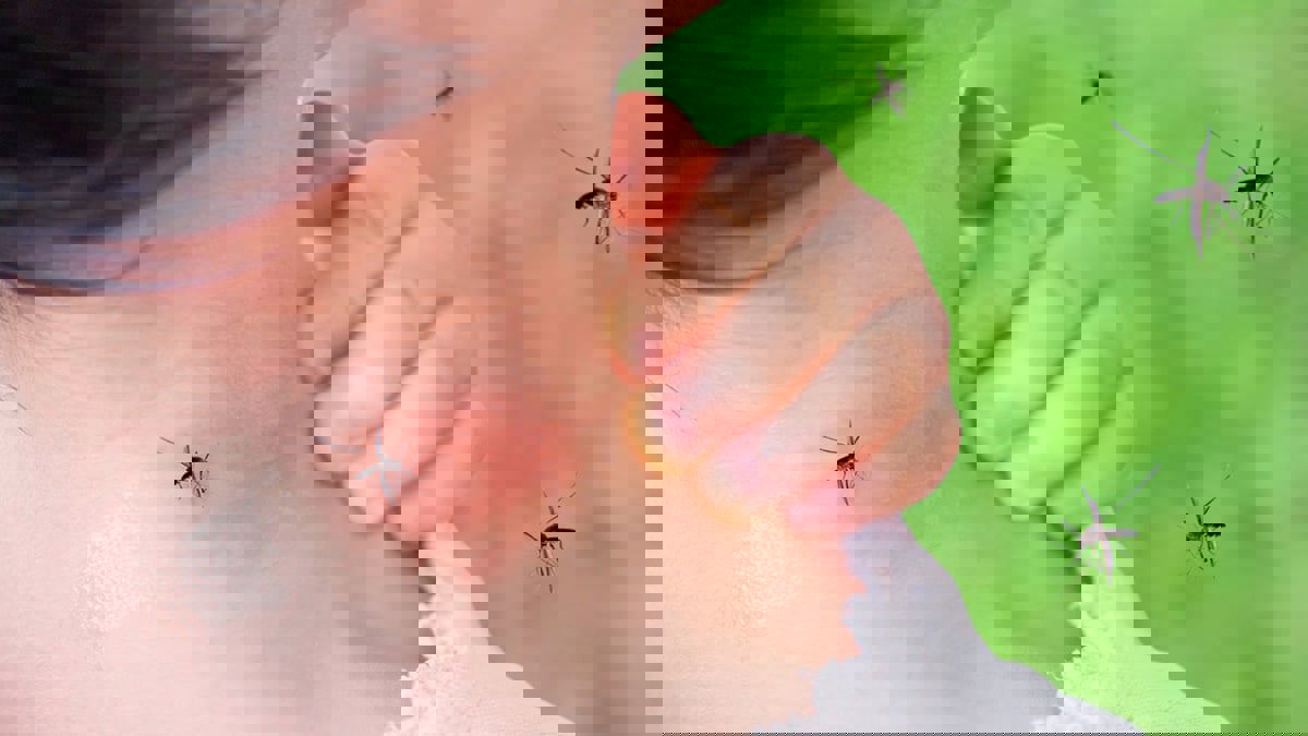حيل طبيعية لتجنب لدغات البعوض وإبعاده عن المنزل