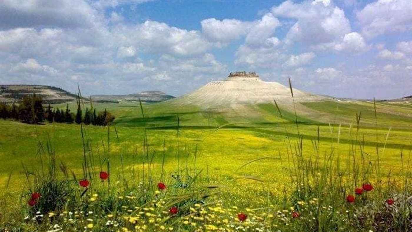 سلمية.. "مدينة الفكر والثقافة" السورية تتصدر الأحداث (صور)