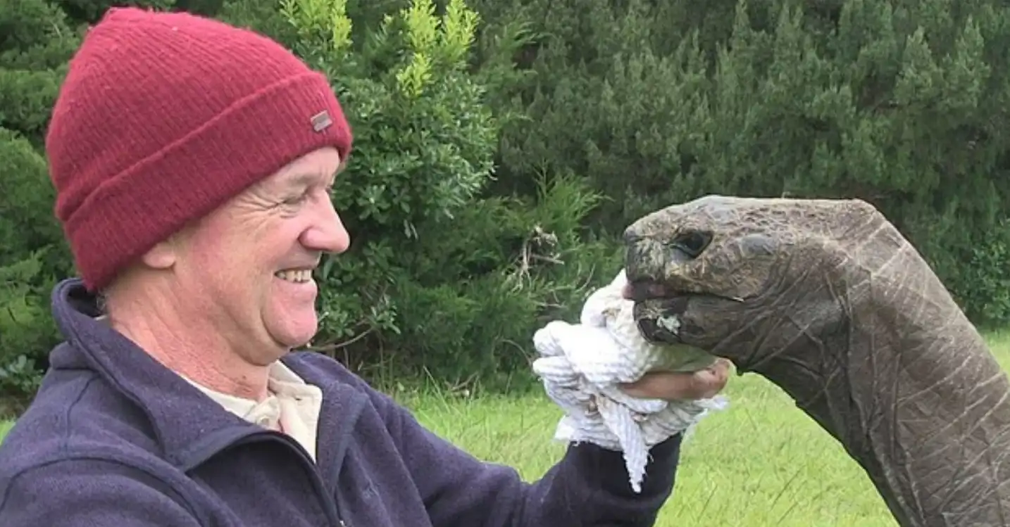 السلحفاة جوناثان