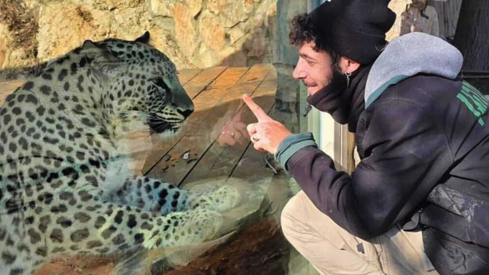 "نمر فارسي" يقتل حارس حديقة حيوانات إسرائيلي