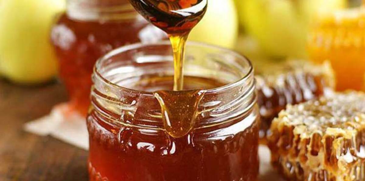 العسل.. سائل ذهبي يمنع 10 أمراض