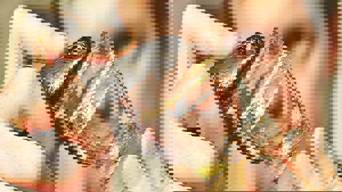 العلماء: سم الأفاعي قادر على علاج السرطان