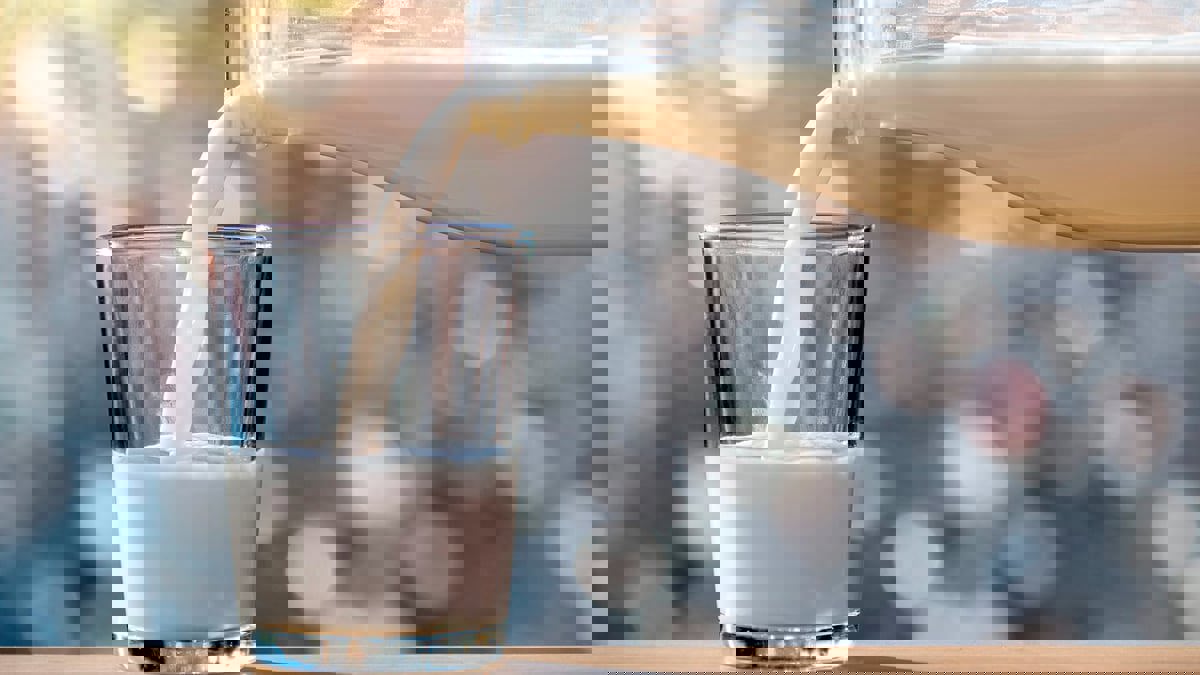 العثور على آثار فيروس "إنفلونزا الطيور" في عينات الحليب التجاري