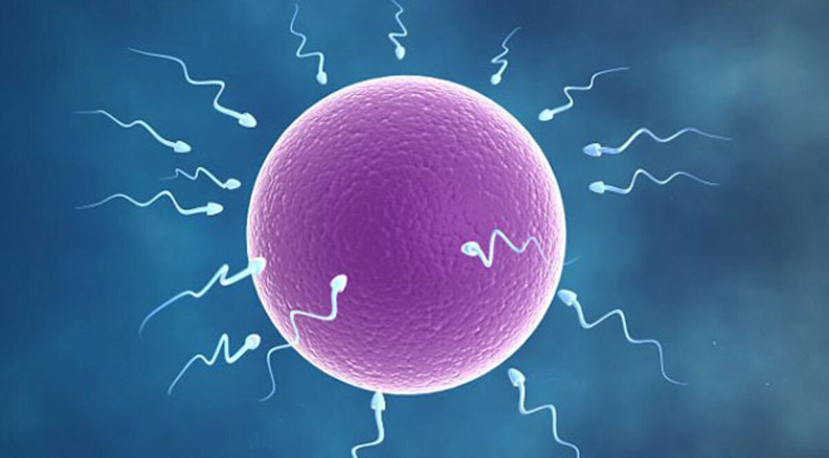 دراسة: "القنب" يضعف خصوبة الرجال