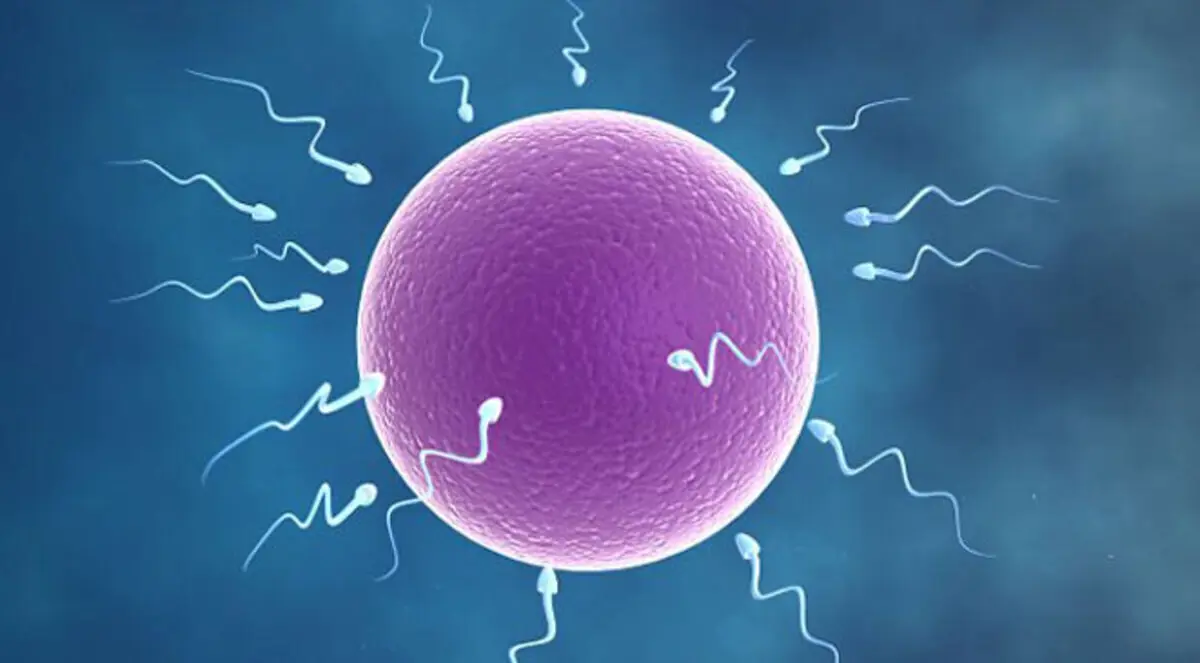 دراسة: "القنب" يضعف خصوبة الرجال