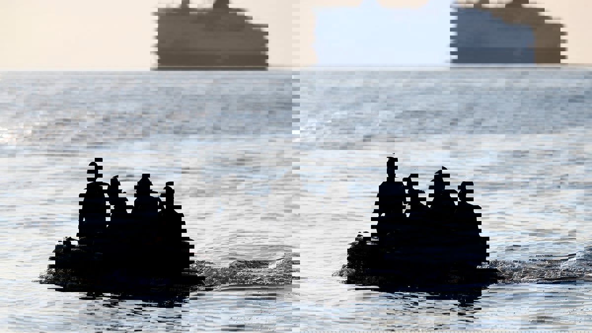 لبنان يعلن إحباط محاولة هجرة غير شرعية إلى إيطاليا