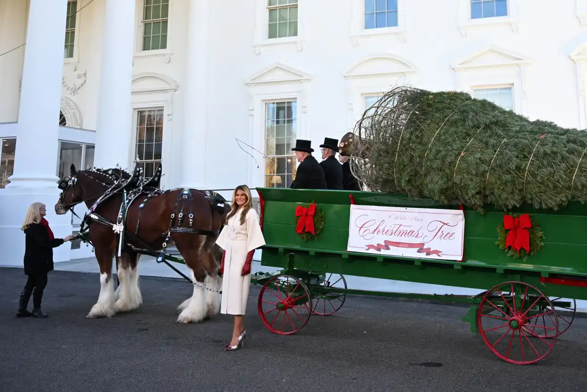 ميلانيا ترامب فور وصول الشجرة