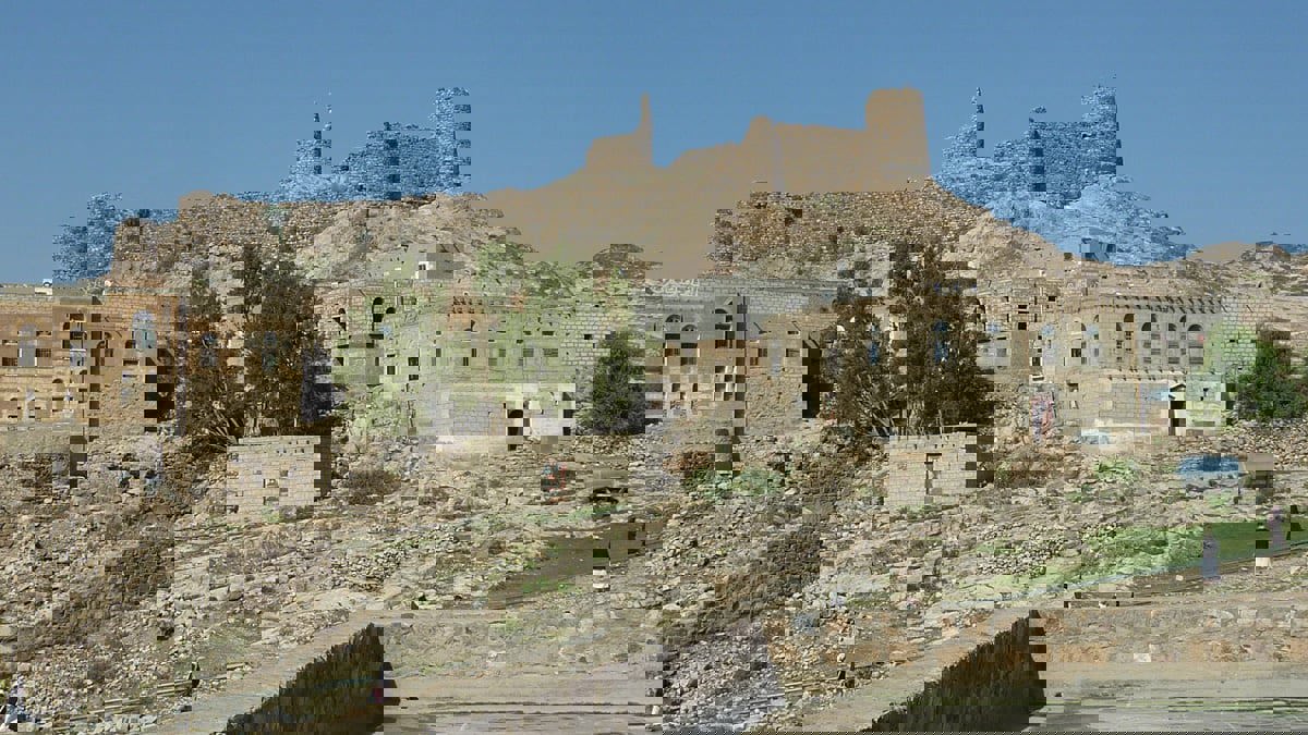 ذبح مسن في حديقة عامة في ذمار وسط اليمن