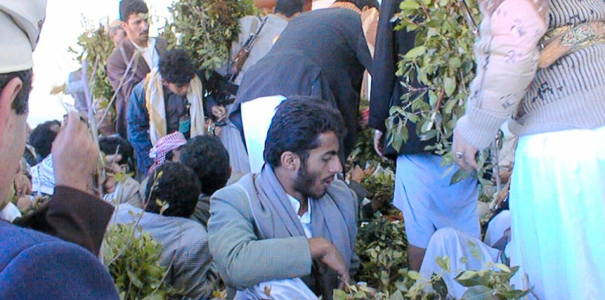 أكاديميون وموظفون يمنيون يتجهون لبيع القات في صنعاء