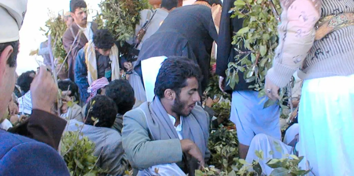 أكاديميون وموظفون يمنيون يتجهون لبيع القات في صنعاء