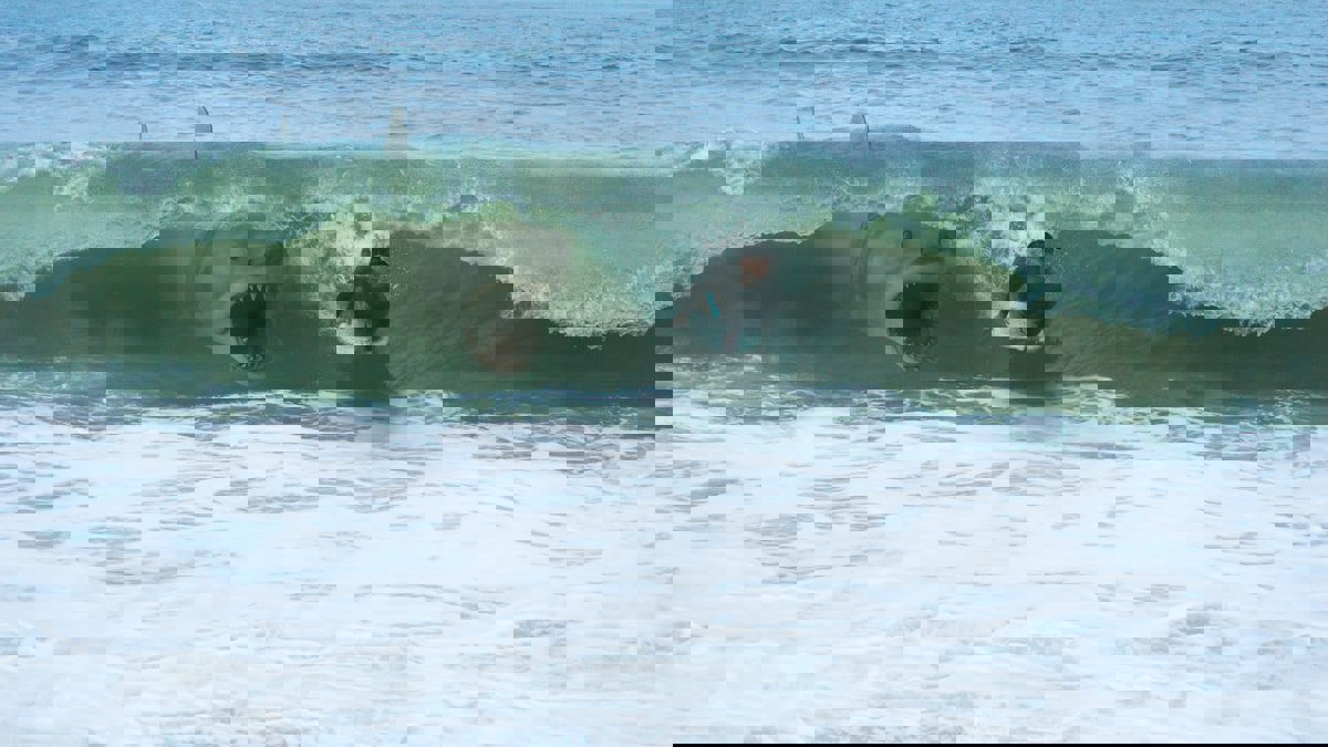 إغلاق شاطئ شهير في إسبانيا بعد هجوم سمكة قرش ضخمة (صور) 