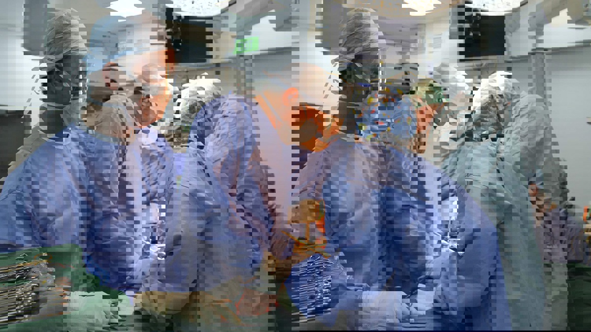 في السعودية.. امرأة متوفاة تنقذ حياة 7 أشخاص