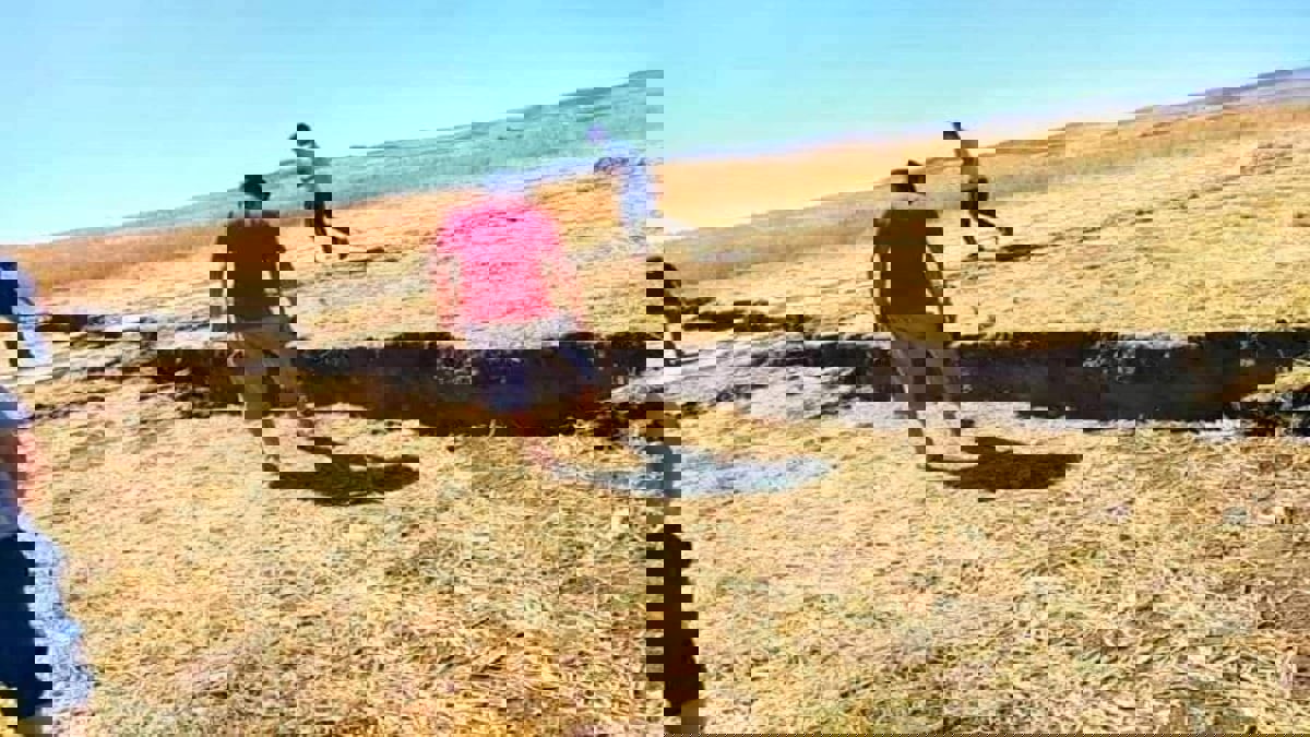 زلزال بقوة 4.9 يضرب شرق الجزائر.. والحكومة تنفي تسجيل ضحايا(صور)