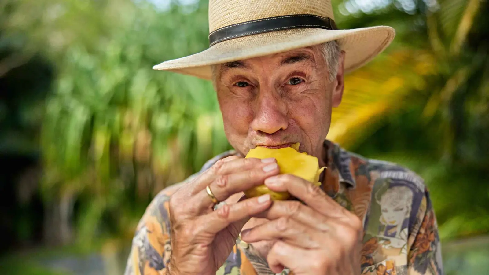 ماذا يحدث لمستوى السكر في الدم عند تناول المانجو يوميا؟