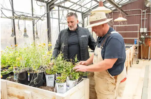 الملاذ الأمن لجايسون أورفيس