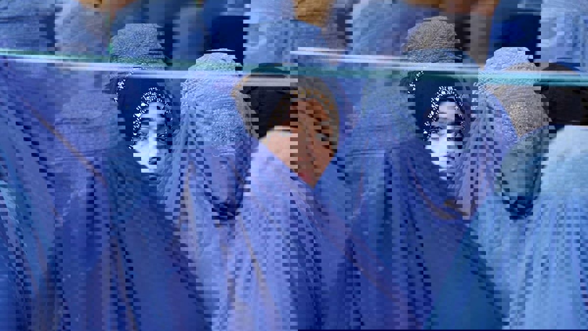 طالبان تهندس المجتمع الأفغاني على صورتها