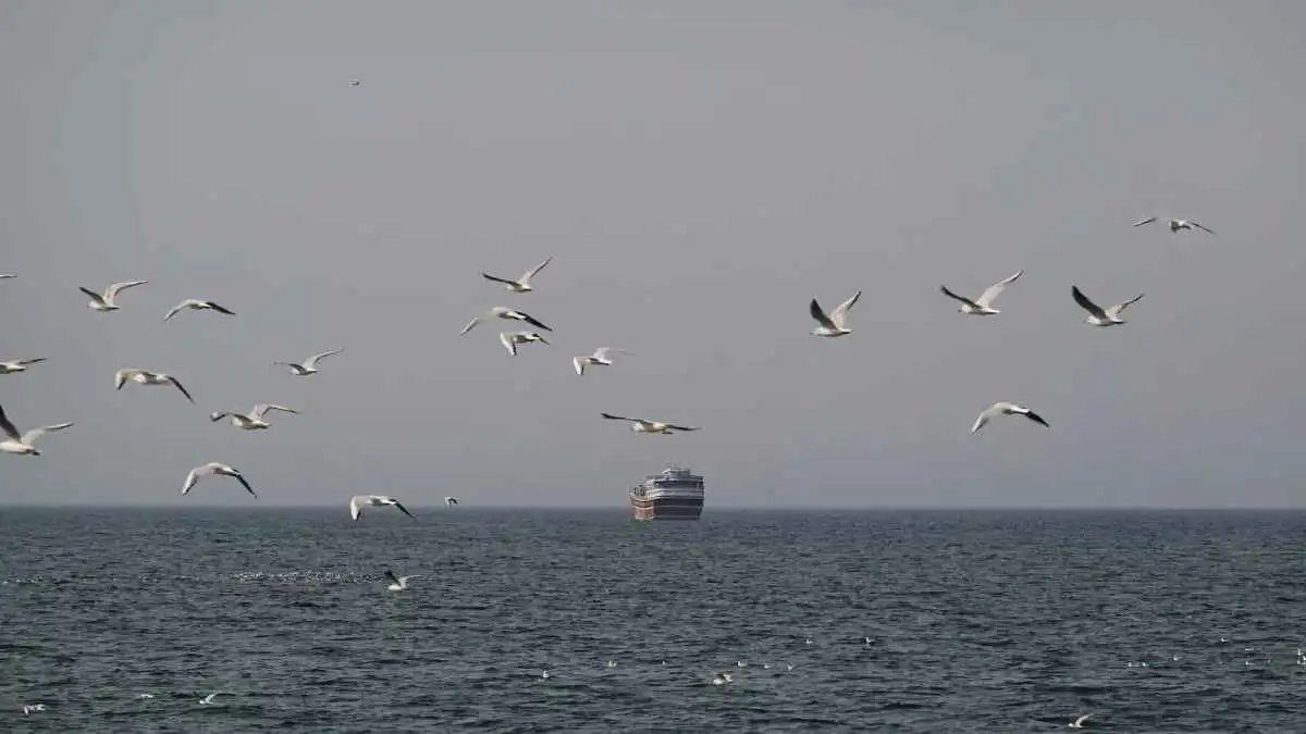 فتحه عراقجي وأغلقه "الحرس".. انقسام النظام الإيراني يفجّر هرمز