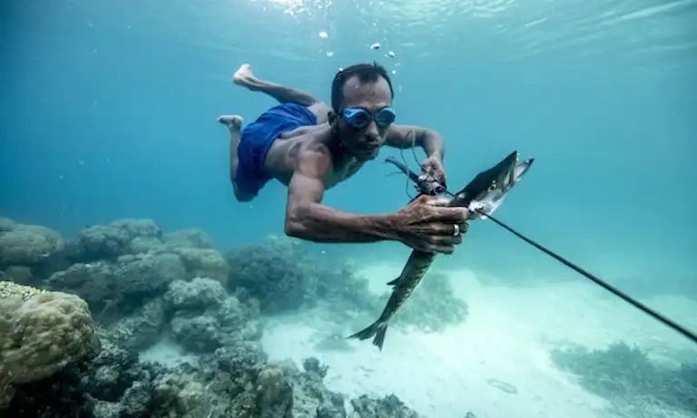 رجل من الباجاو