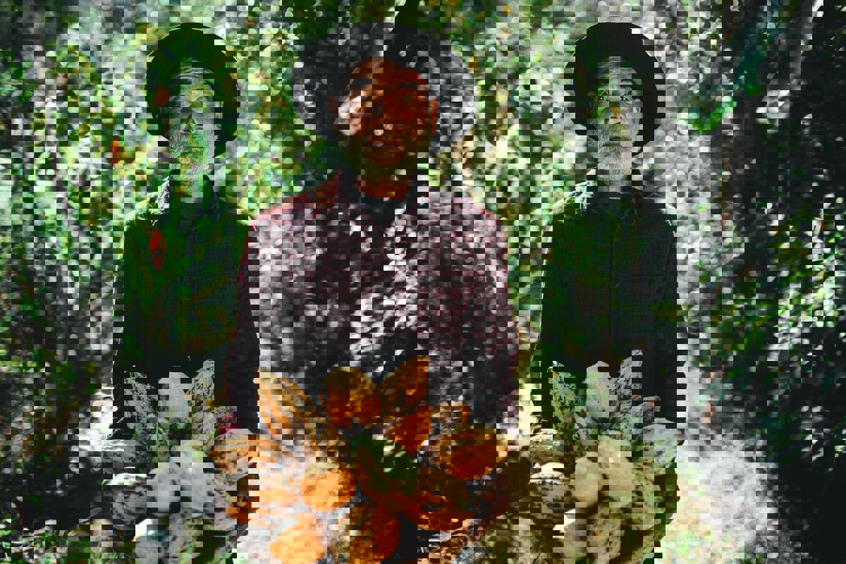 أسعارها تشهد ارتفاعًا تاريخيًّا.. انهيار سوق الشوكولاتة قادم