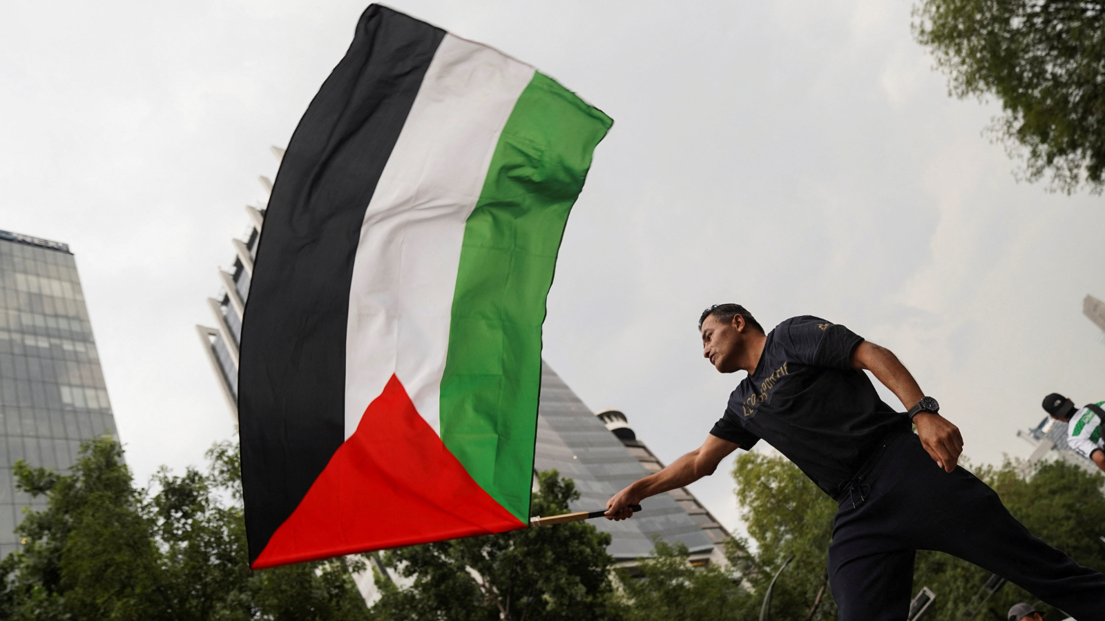 السماح للفلسطينيين برفع علمهم في منظمة الصحة العالمية