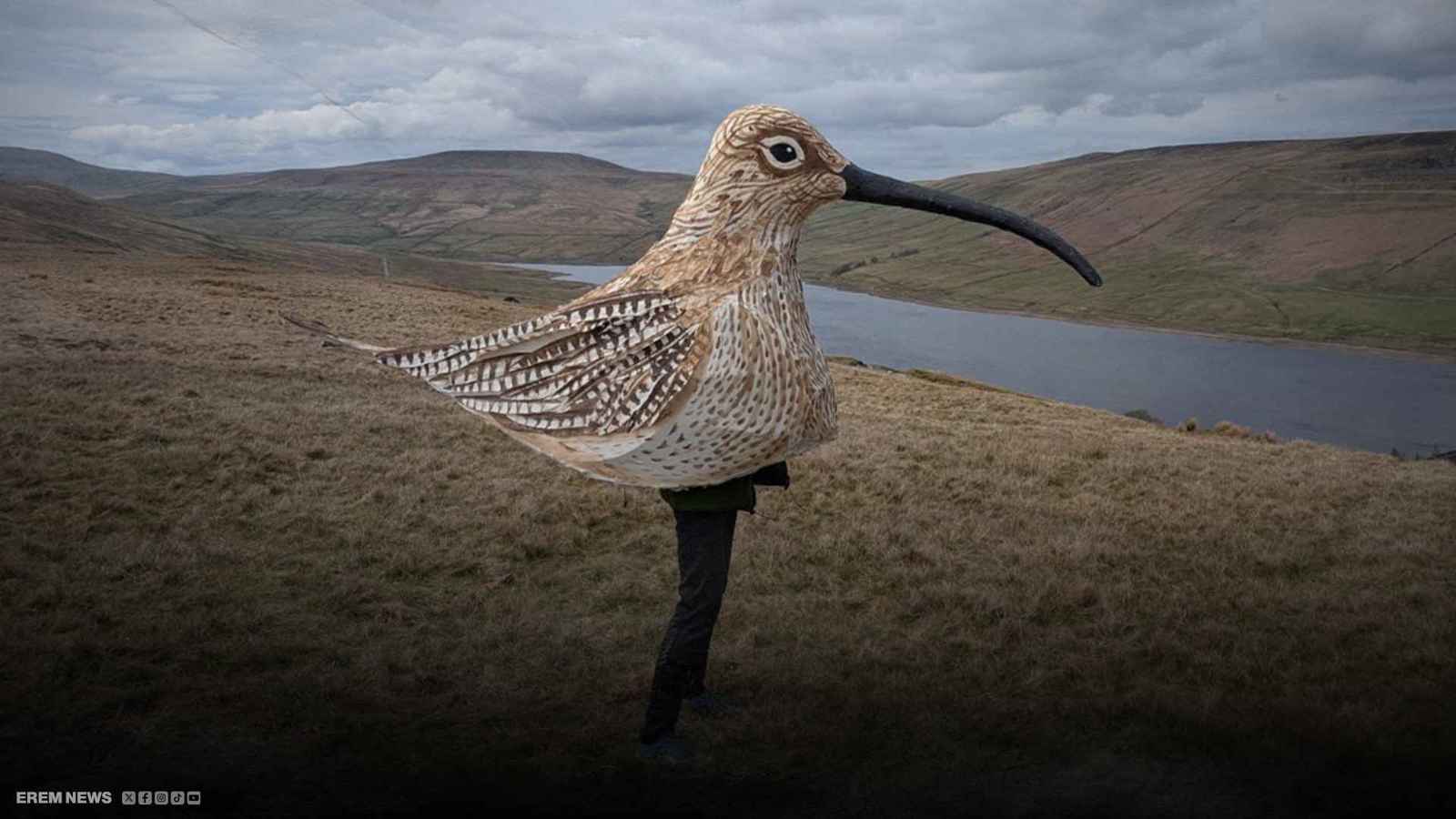 انتقاما للحياة البرية.. رجل يقطع 85 كم سيرا على الأقدام بزي طائر