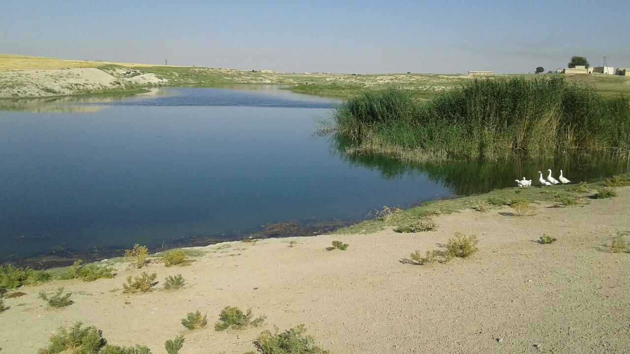 غرق طالب خلال رحلة مدرسية في نهر بريف الرقة (فيديو)