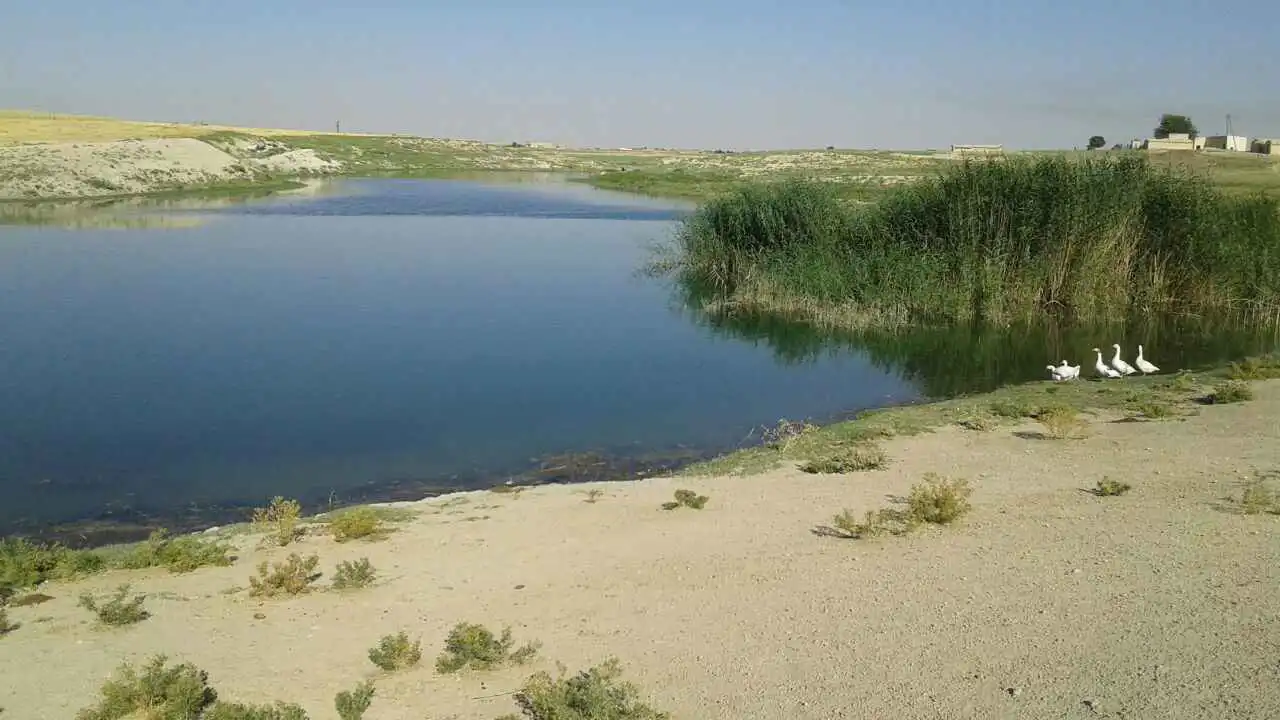 غرق طالب خلال رحلة مدرسية في نهر بريف الرقة (فيديو)