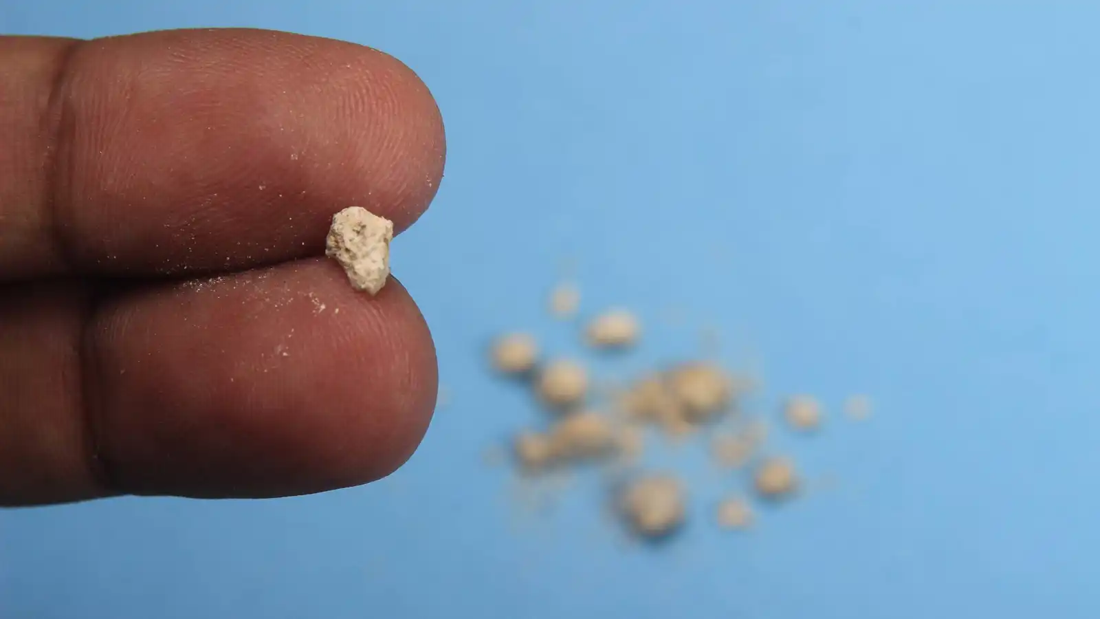 بول الثعبان قد يحمل مفتاح علاج حصى الكلى