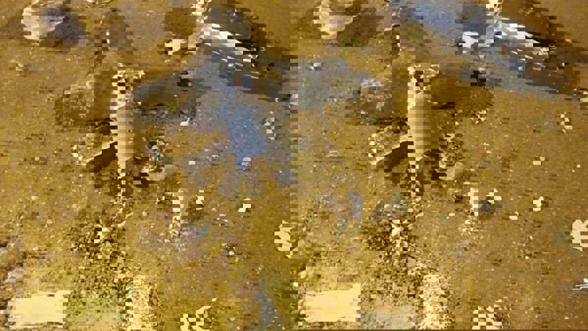 إصابة 16 مدنيا داخل مطار الملك عبدالله في جازان بشظايا مسيرة حوثية