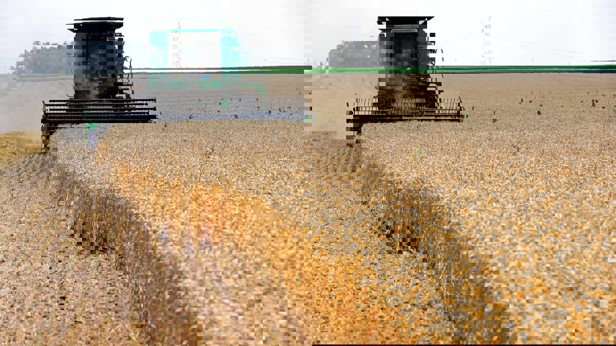 أوكرانيا: خسرنا ربع أراضينا الصالحة للزراعة