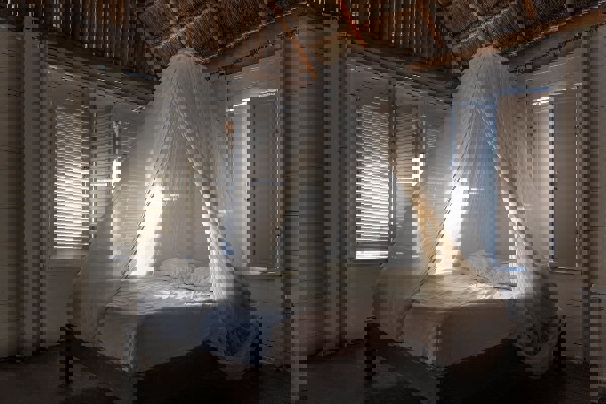 شركة "ناموسيات" تُخسر العالم معركته مع الملاريا