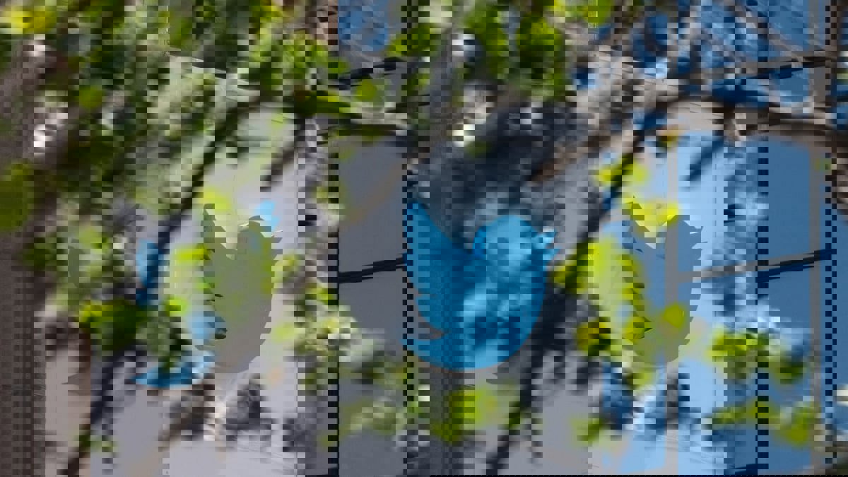 "تويتر" تسمح باستخدام عدة وسائط بتغريدة واحدة