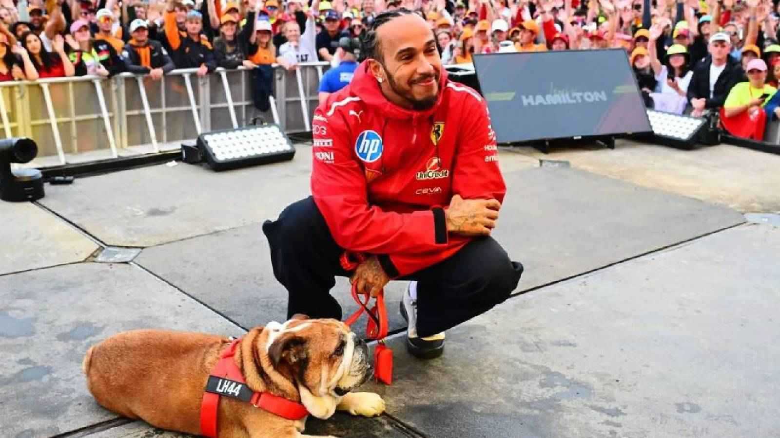 هاميلتون يلغي رحلته إلى إيطاليا بسبب أزمة صحية لكلبه "روسكو" (صور)