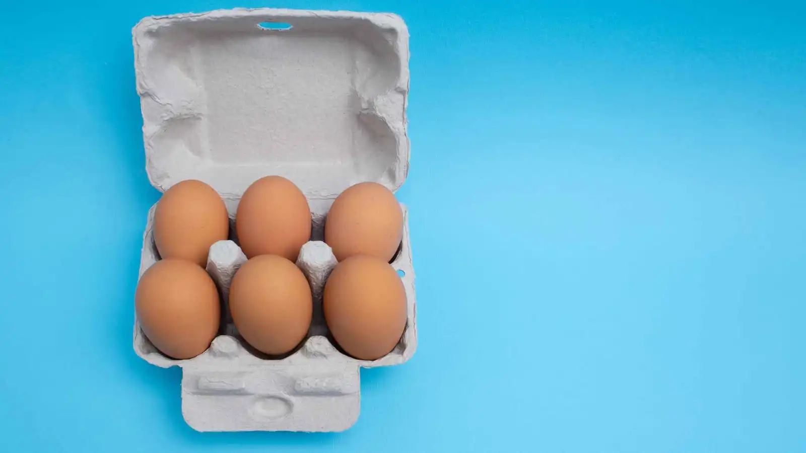 "6 بيضات بـ6 طرق" ترند جديد يجتاح تيك توك.. ما رأي خبراء التغذية؟