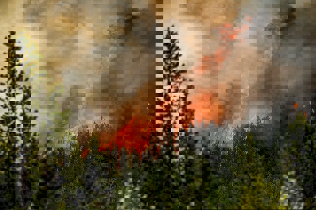 أوامر بإخلاء مدينة يلونايف الكندية بسبب حرائق الغابات 