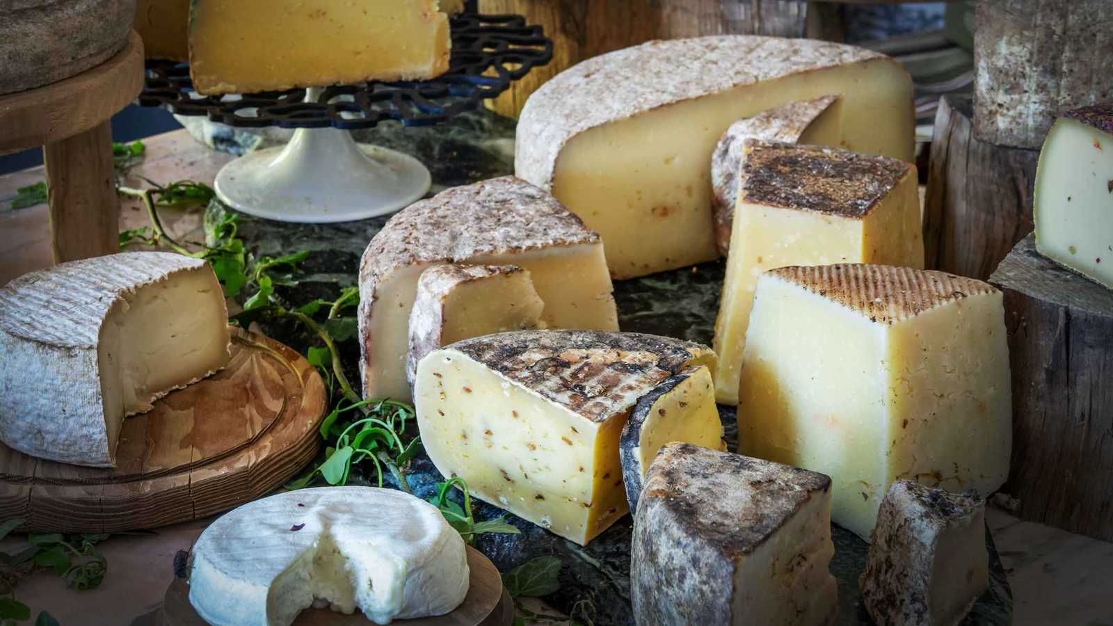 البلاستيك يغزو منتجات الألبان.. والجبن في الصدارة