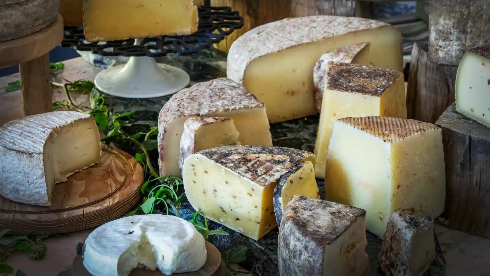 البلاستيك يغزو منتجات الألبان.. والجبن في الصدارة