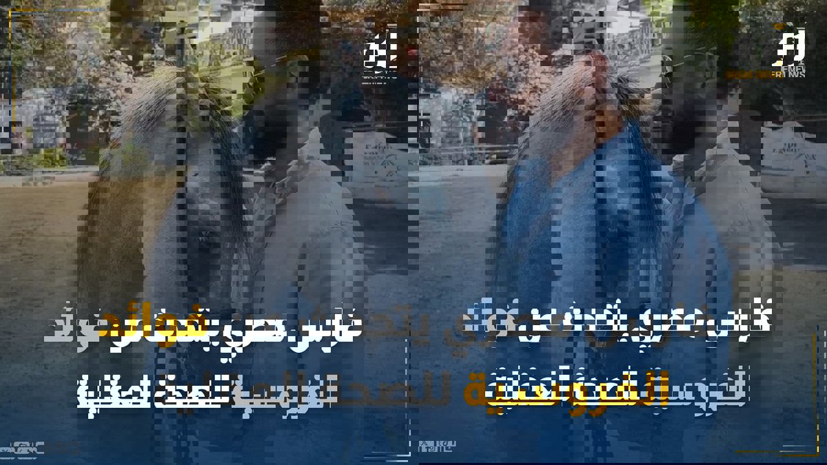 "ترك الإعلام من أجل الخيل".. فارس يتحدث عن فوائد الفروسية للصحة العقلية 