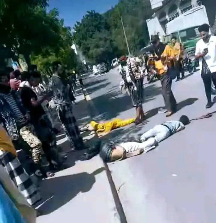 ضحايا حادث تعز