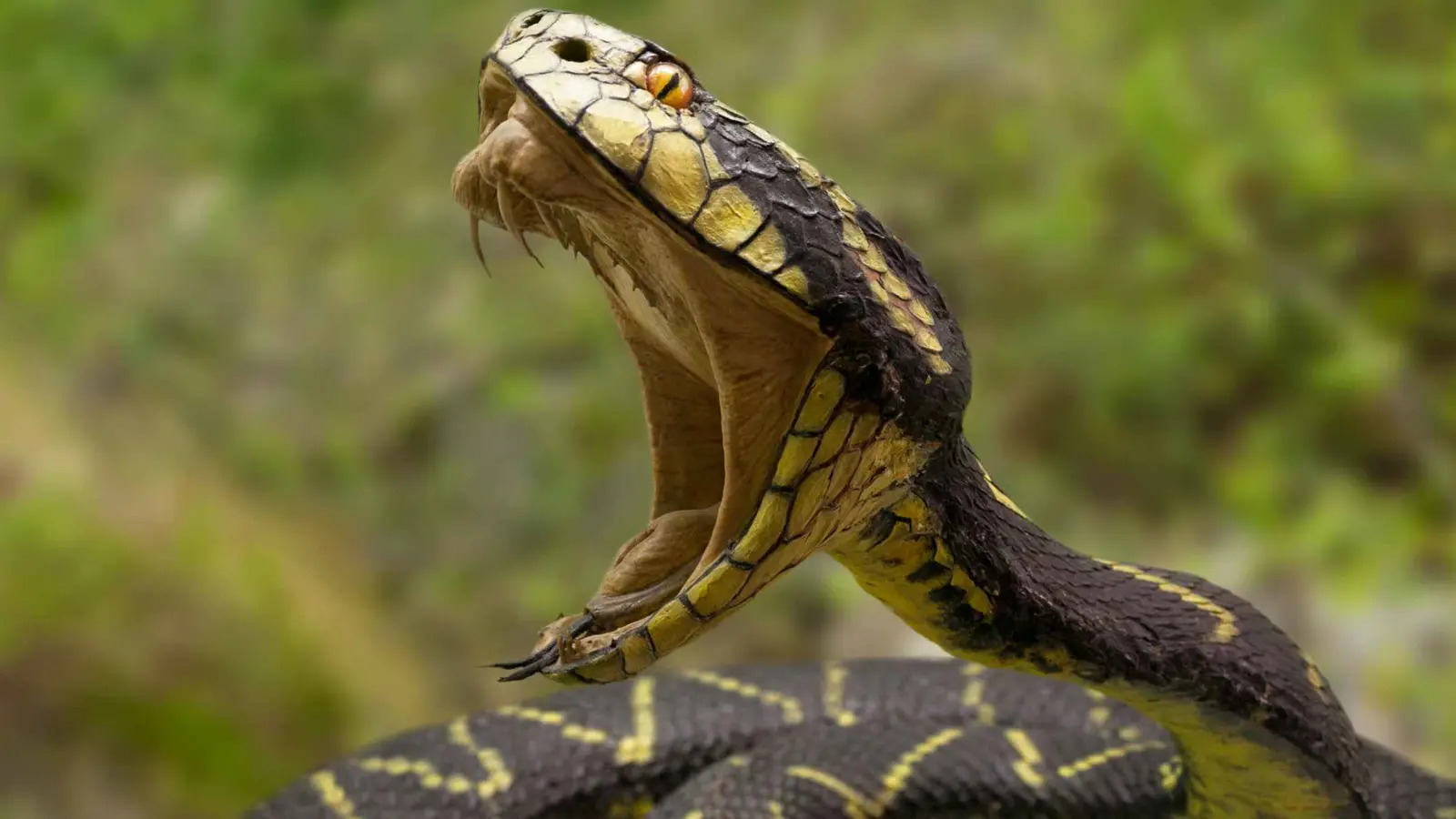 جريمة قتل "مقنّعة".. تخلص من جثتها وادعى وفاتها بلدغة أفعى