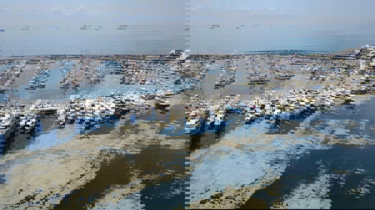 "مخاط البحر" يصل اليونان وسط قلق على الحياة البحرية