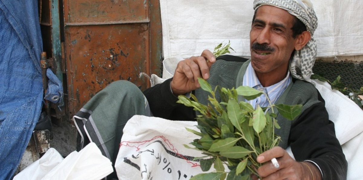 هل تصبح عدن ثاني مدينة يمنية تقنن تجارة القات ؟