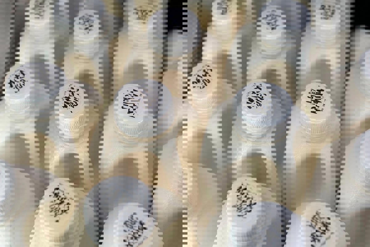 في ظل تفشي إنفلونزا الطيور.. تحذيرات من تناول الحليب الخام