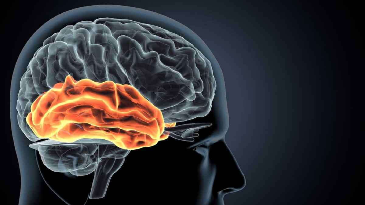 ما العلاقة بين فصيلة الدم والإصابة بالسكتة الدماغية؟