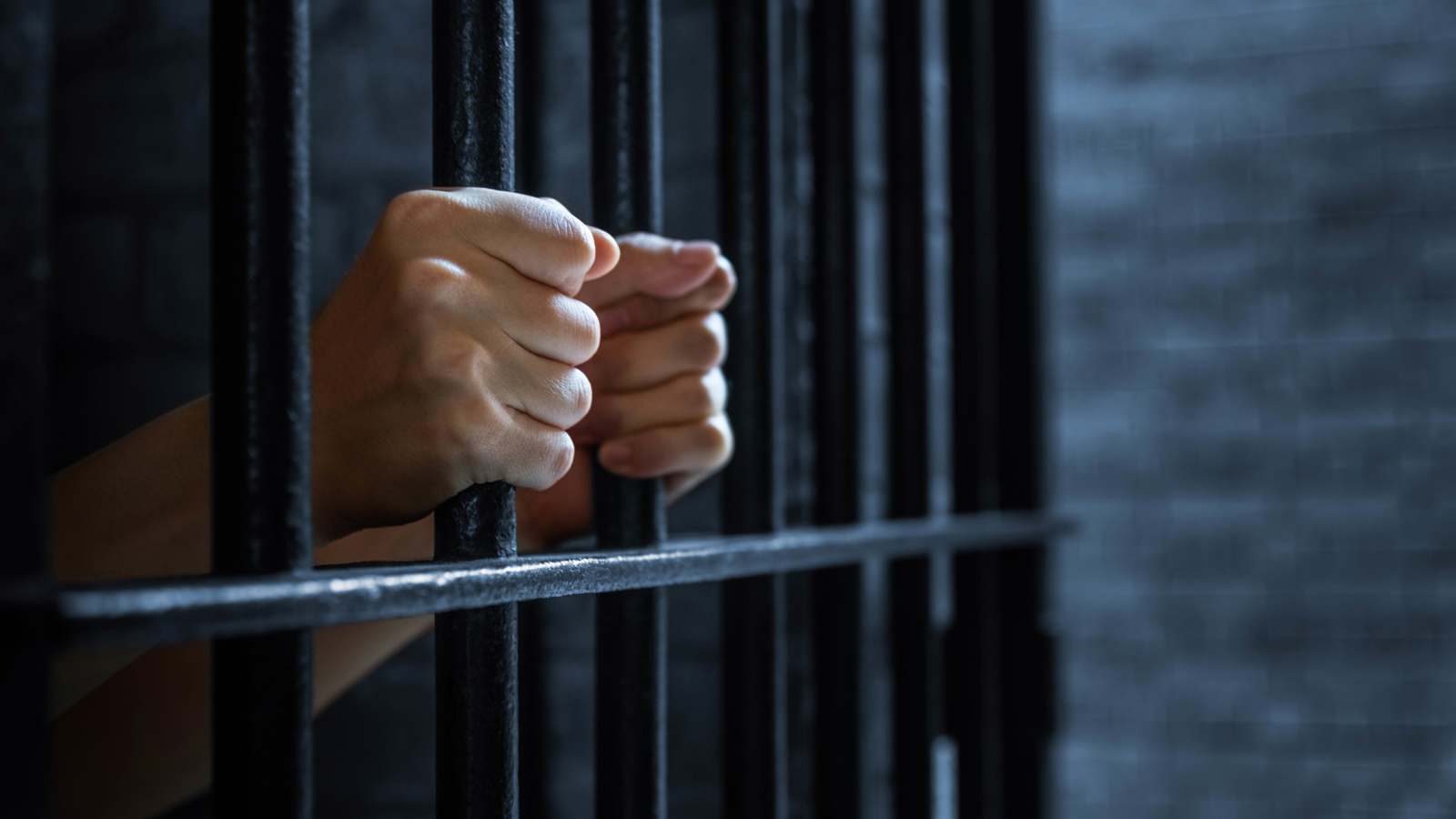 السجن 5 سنوات لرجل هدد حفيدته بمسدس ومضرب بيسبول