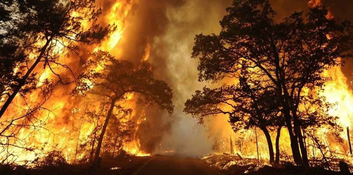 حريق "شيطان تسمانيا" في كاليفورنيا يقتل رجلي إطفاء ويهجّر الآلاف