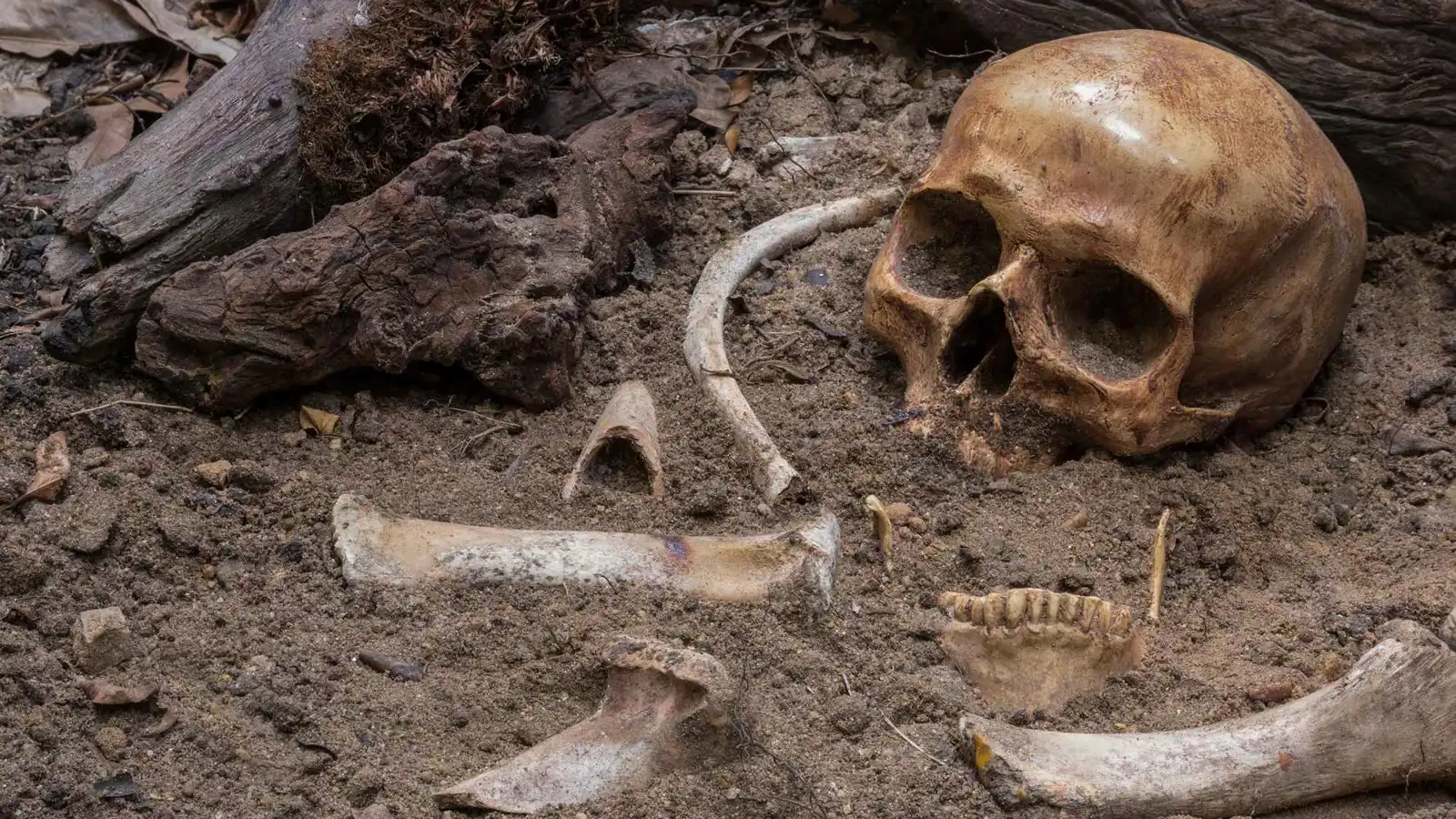 بعد 17 عاماً.. تحديد هوية رفات شاب مفقود منذ عام 1988