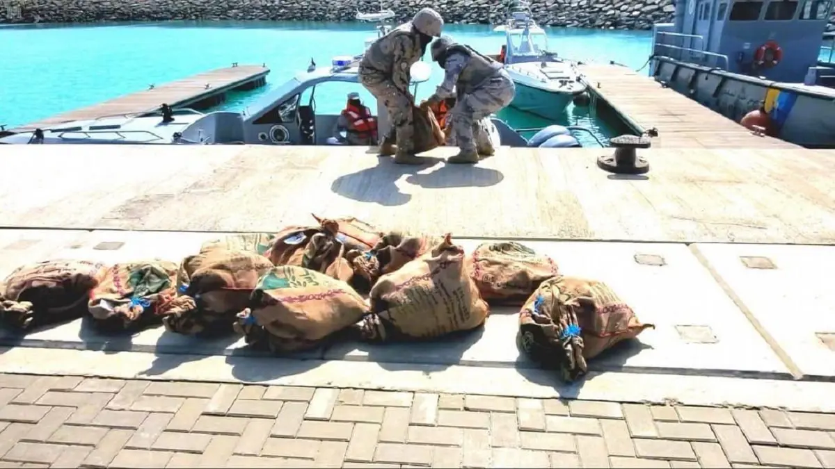 السلطات السعودية تحبط محاولات تهريب مواد مخدرة