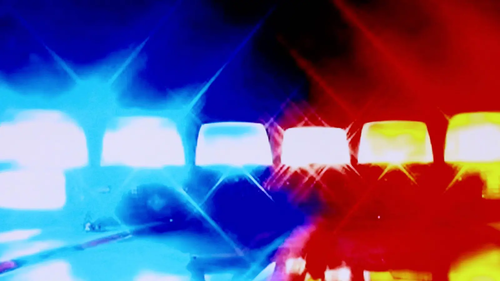 إحباط تهريب كمية هائلة من المخدرات لمصر من إحدى الدول (صور)